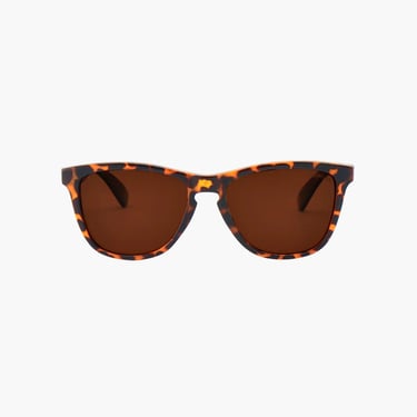 Rise up sunglasses, tortoise