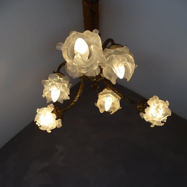Antique French Bronze Chandelier,with 6 glass shades in the shape of flowers. 