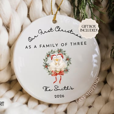 Personalized Family Christmas Ornament, Custom Family Keepsake, Family of Three First Christmas Ornament, Custom Goose Family Ornament Gift by CloudArt
