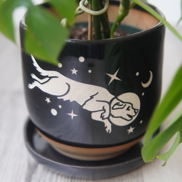 Space Dog Planter - plant pot with drainage + saucer 