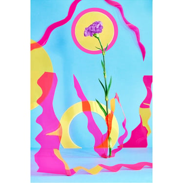 Purple Carnation with Abstract Shapes: Modern Fine Art Print, Archival Giclée Print, Whimsical, Playful, Graphic, Sculptural 
