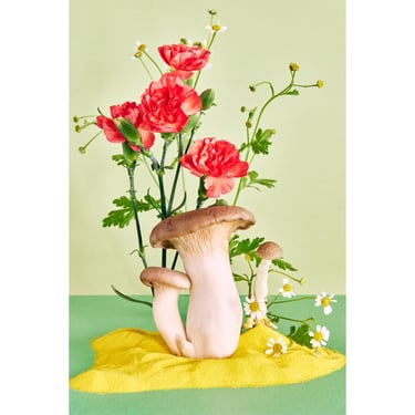 Mushroom With Orange Flowers: Modern Fine Art Print, Archival Giclée Print, Whimsical, Playful, Organic 