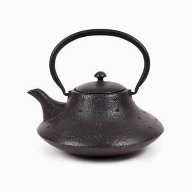 Japanese Cast Iron Teapot Tetsubin Hobnail Bronze Black Nambu Tekki Kafuh 
