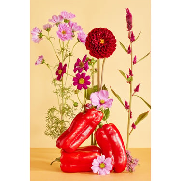 Abstract Floral Photography Print: Bell Peppers and Flowers Archival Giclée Art 