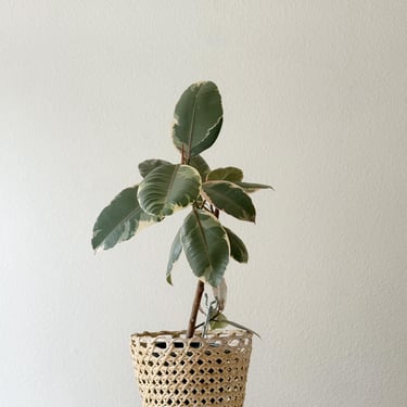 boho woven rattan bamboo basket planter 