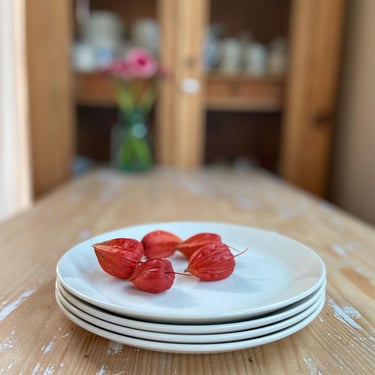 Set of 4 vintage English Johnson Brothers ironstone plates 