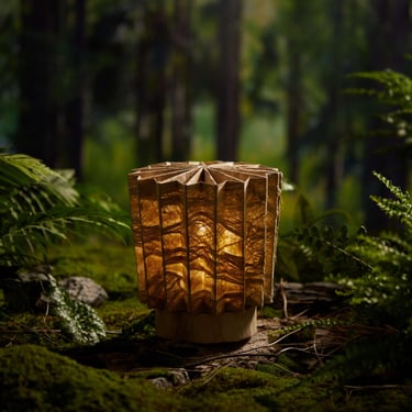 Handmade Bark Lamp Set, Vintage Night Light, Natural Lamp, Mood Lighting, Minimalist Decor, Unique Gift Ideas, Perfect Housewarming Gift 