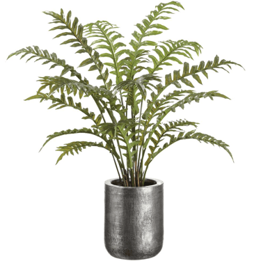 45" Fern in Zinc Planter