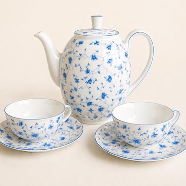 Arzberg Germany Blue White Tea Set Teapot Cups Saucers Floral Porcelain 