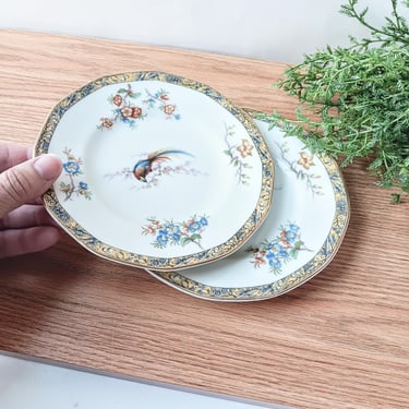 2 Vintage Theodore Haviland Limoges Bamboo Bread Dessert Plates/ France/ Bird in the Center/Collectible Replacement/ Mix Match/Woodland/Rare 