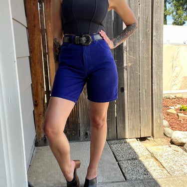 Vintage 1990s Sostanza Blue/Purple  Denim High Waisted Shorts, 27&rdquo; Waisr 