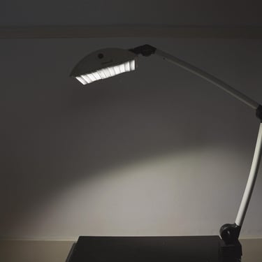 Waldmann Adjustable Desk Lamp German Industrial Task Lamp Clamp Mount Articulated Office Light 