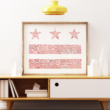 Washington DC Flag Poster: Hand Lettered Art Print 