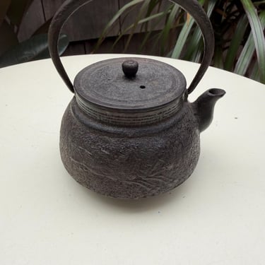 Vintage Japanese Tetsubin Kettle Teapot small Cast Iron Brown racing horses with Strainer 