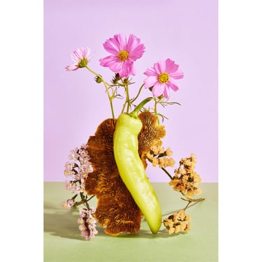 Still Life With Yellow Hot Pepper and Flowers: Fine Art Photography Archival Giclée Art 
