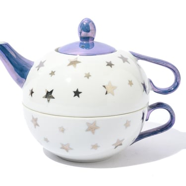 Vintage Single Serve Teapot and Cup, C&R Porcelain, Japan, Natural Wonders 
