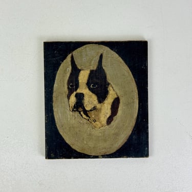 Stunning Antique Folk Art Oil on Board Painting of Boston Terrier Dog 