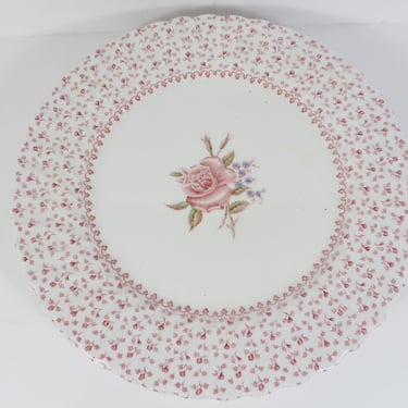 Vintage Johnson Brothers Rose Bouquet Dinner Plates - Set of 4 Pink Bouquet Johnson Brothers Dinner Plates 