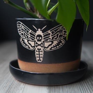 Deaths Head Hawkmoth Planter with Saucer - plant pot with drainage 