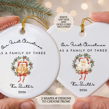 Family of Three Christmas Ornament, Custom New Parent Gift, Personalized Family Keepsake, Goose Ornament, Baby Gift 2026,   Bunny Ornament by CloudArt