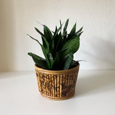 Vintage Bamboo Reed Planter Basket 