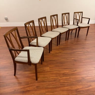G-Plan Curved Back Dining Chairs Set of 6