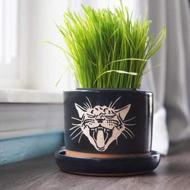 Screaming Cat Planter - plant pot with drainage + saucer 