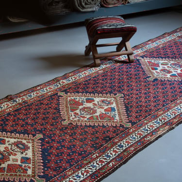 Antique 3’7” x 11’10” Botanical Figural Medallion Red Blue Beige Long Runner Early 1900s - FREE DOMESTIC SHIPPING 