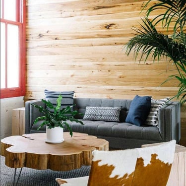 live edge coffee table - with mid century modern hairpin legs - nimbus cloud table - urban wood salvage - modern interior 