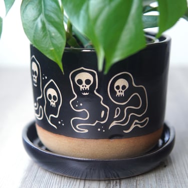 Wraith Skull Planter with Saucer - spooky ghost plant pot with drainage 