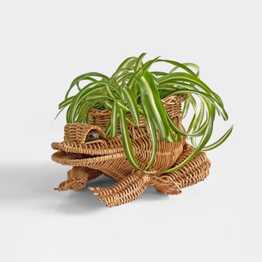 Woven Wicker Rattan Frog Planter Basket with Marble Eyes With 4 Inch Planter Pot Insert 