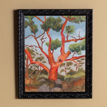 Expressionist Red Tree Oil Painting in Lacquered Frame, Spain, 1980s