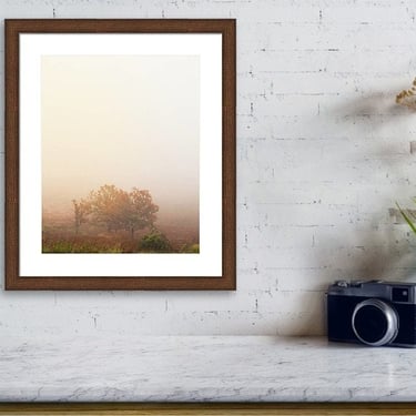 Shenandoah National Park, Big Meadows Print, Forest Photography, Shenandoah Print, Virginia Wall Art, Nature Photography, Forest Wall Art 