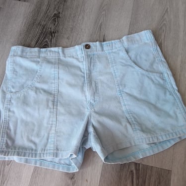 Vintage Shorts Corduroys Weeds 1980s light Blue sz 36 