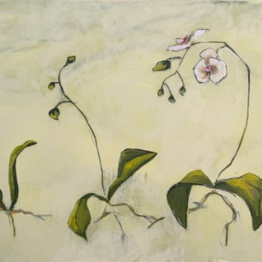 Orchid Study
