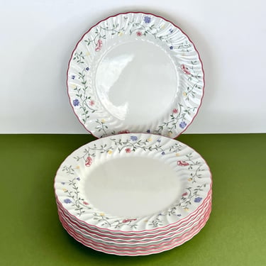 Set of 8 Dinner Plates 