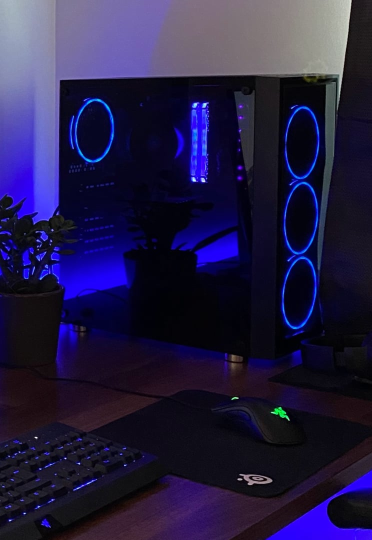 Maldito Hard 🐻 | El lugar Preferido Por Streamers & Gamers