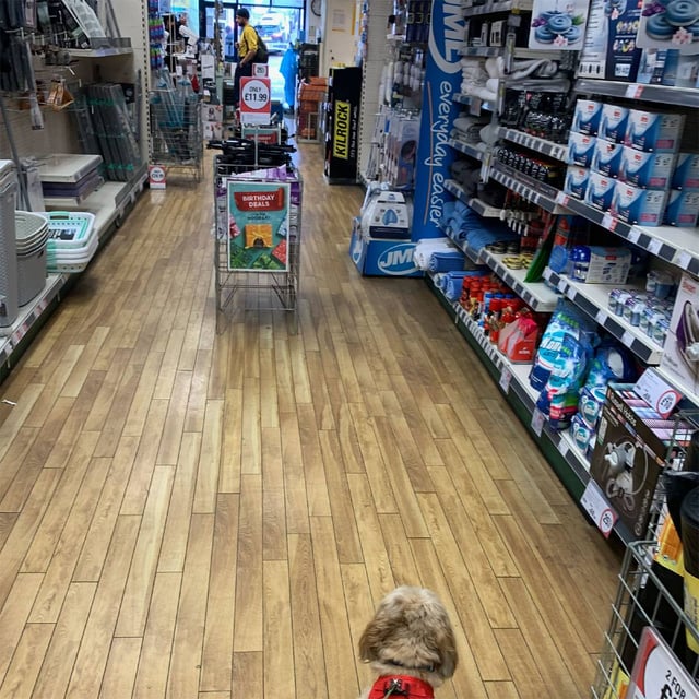 Robert Dyas Brighton is dog friendly!