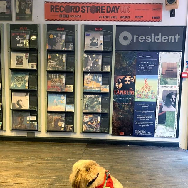 Dog online friendly music