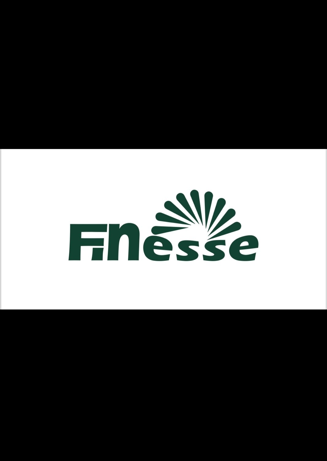 Finesse group kft