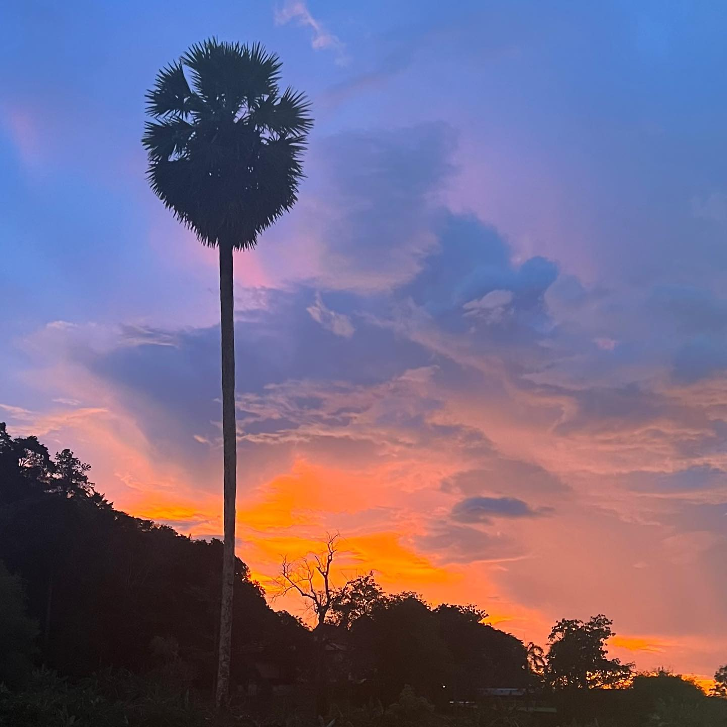 Photo of Sunset in Phuket