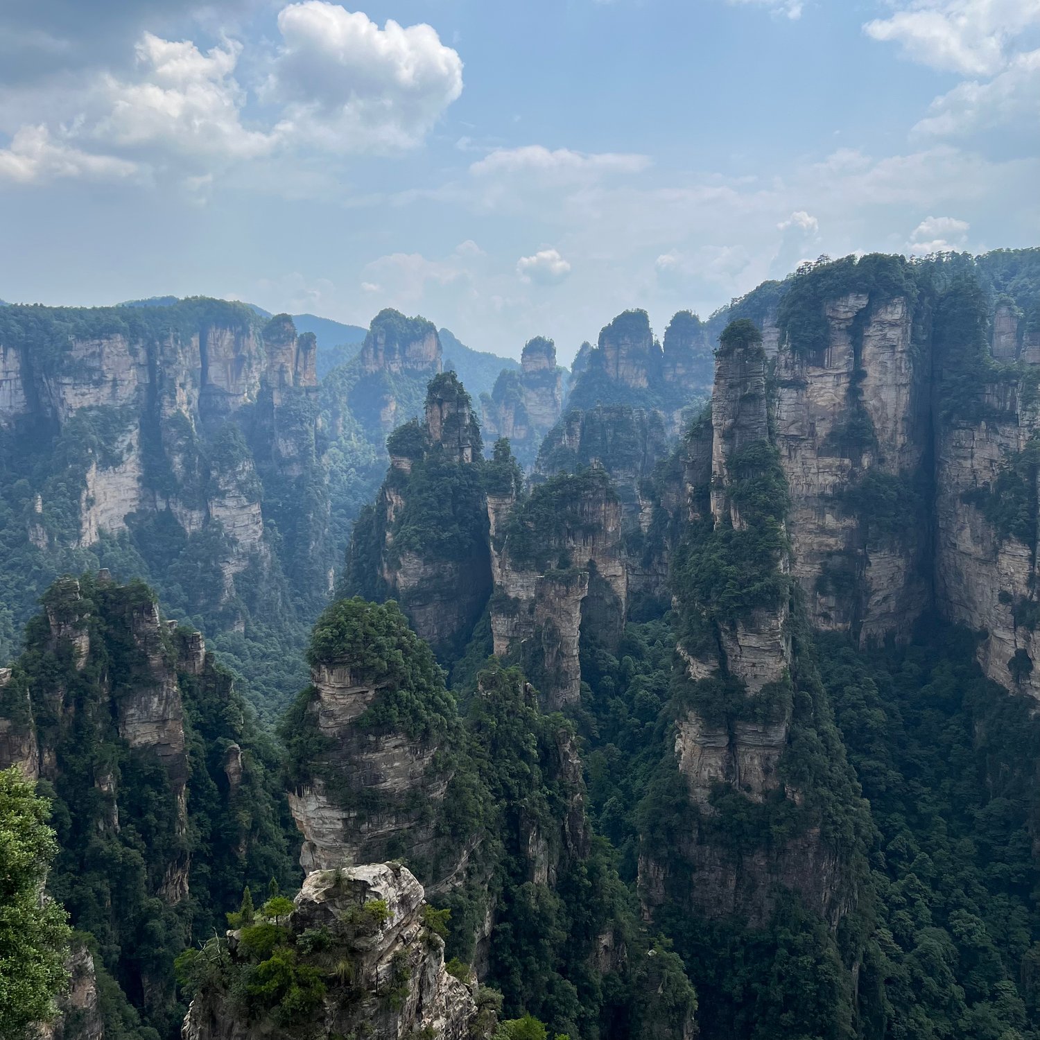 Photo of Zhangjiajie's pillars (Avatar Mountains)