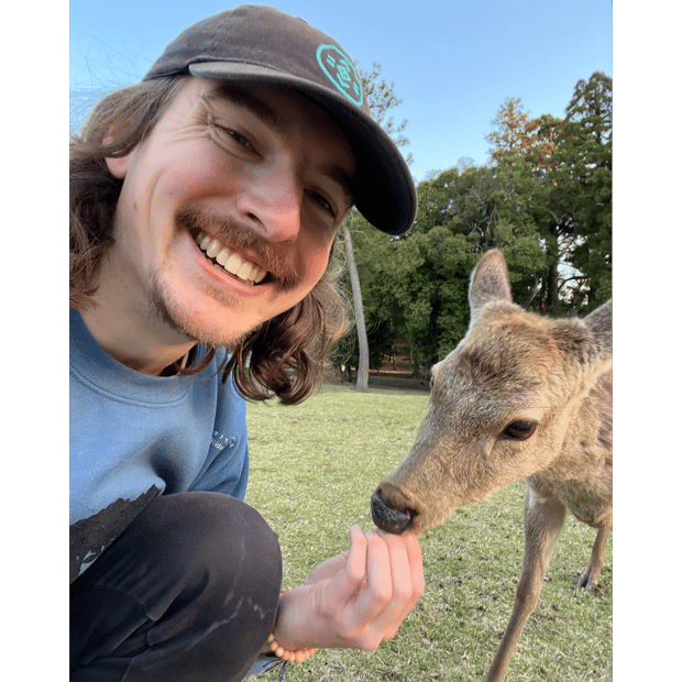 Photo of Feeding the deer!