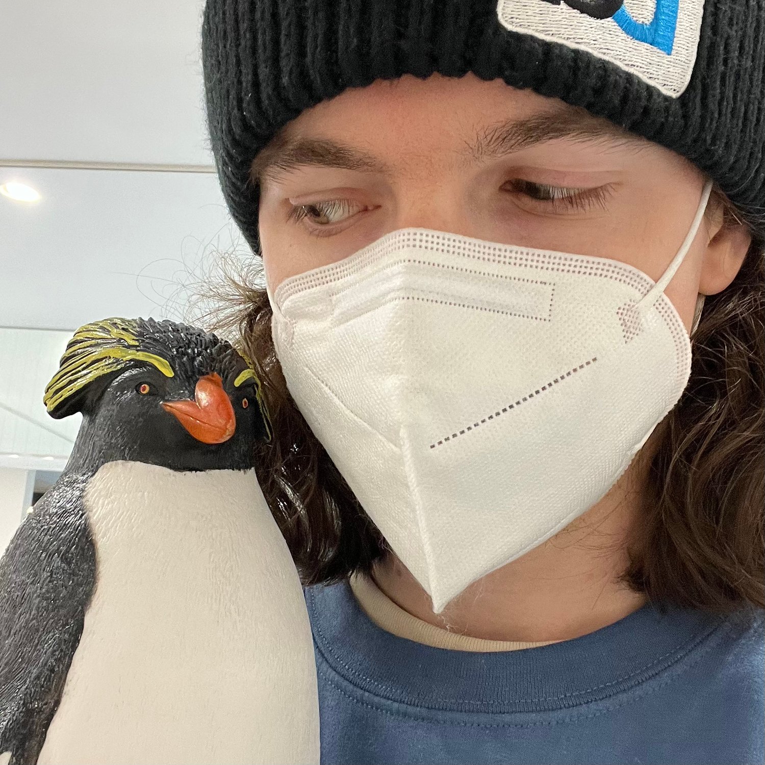 Photo of Penguin telling me secrets