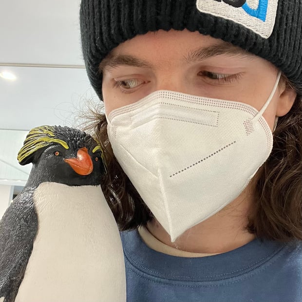 Photo of Penguin telling me secrets