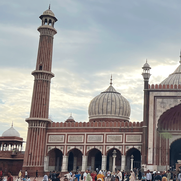 Photo of Jama Masjid (left)