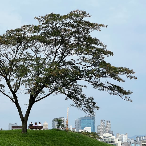 Photo of Olympic Park