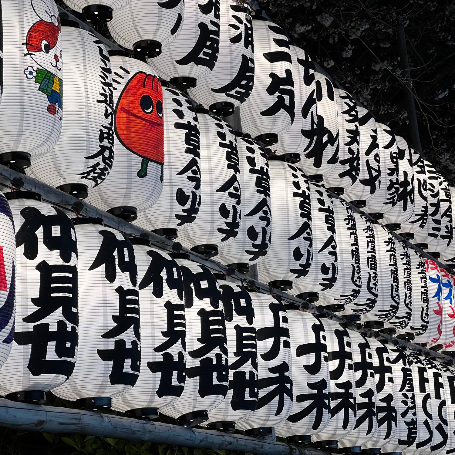 Photo of Paper lanterns in Asakusa