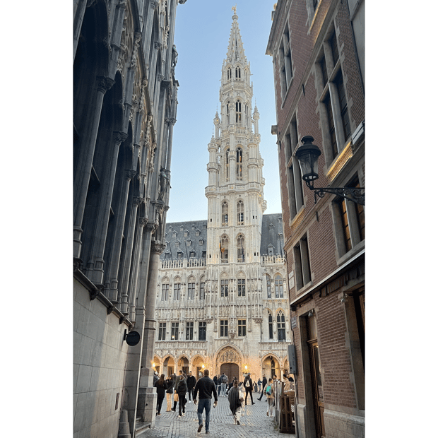 Photo of Brussels Town Hall from a nearby alley