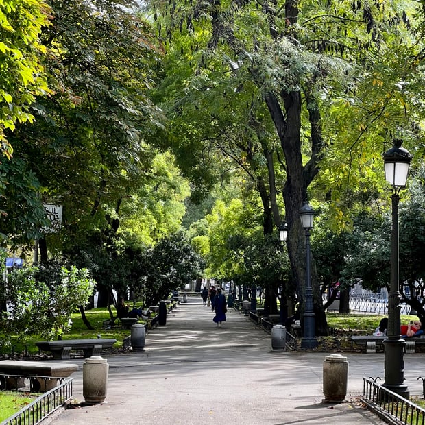 Photo of Paseo del Prado